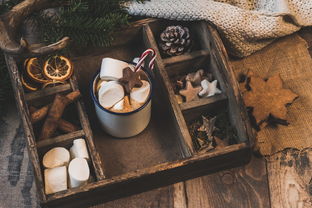 爱游戏体育官网-NBA赛季助攻王表现动态，nba本赛季助攻王