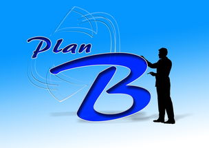 爱游戏体育娱乐-中国篮球职业俱乐部财务风险控制研究，篮球俱乐部企业组织结构图